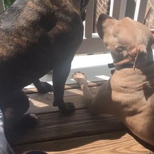 Meet your Posher, Trey